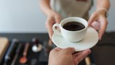 Envato
